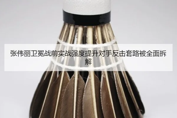 张伟丽卫冕战前实战强度提升对手反击套路被全面拆解